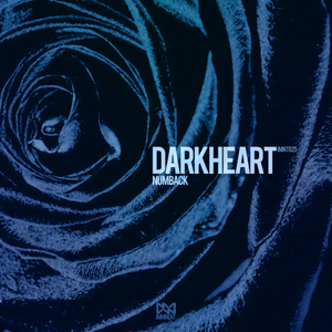 Darkheart (Mivf Remix)