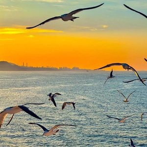 你留给我的叹息