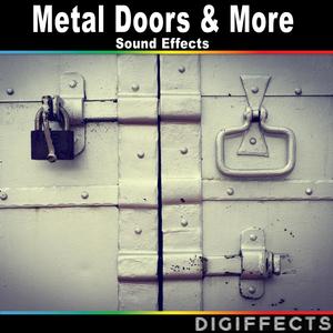 Metal Plate Door Open and Close Version 2