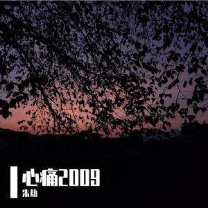 心痛2009