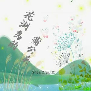 花湖岛的蒲公英