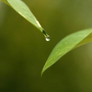 I almost forgot that you are a hero