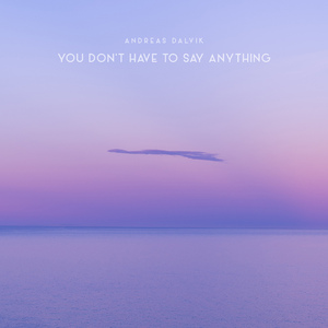 You Don't Have To Say Anything