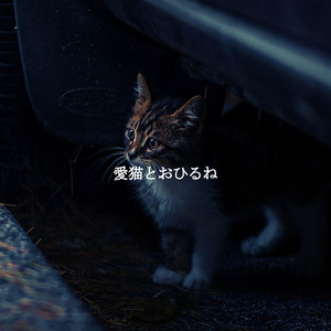 Mind-blowing Ambiance for Coffee in Tokyo