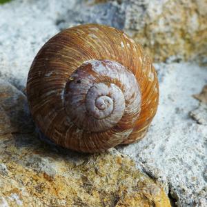 海风轻拂(治愈纯音乐)