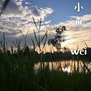 小鱼-弹唱版（翻自 魏一宁）