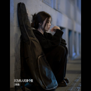 只为来人间凑个数