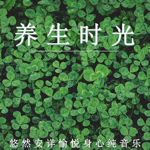 悠然安详（钢琴）