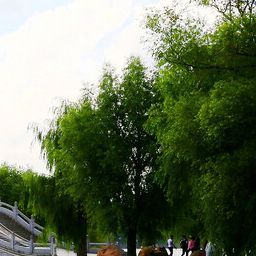 困在爱里是笨蛋