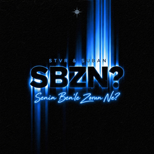 Senin Ben'le Zorun Ne?