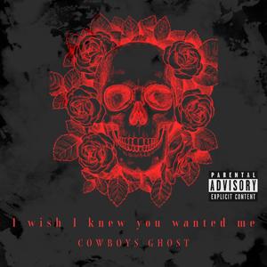 i wish i knew you wanted me