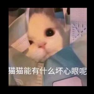 因为晚上确实睡不着所以把闭上眼睛脑子里过的东西写成了口水说错（prod.BECU BEATZ）