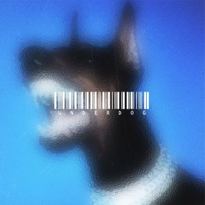 Boombap Type Beat "Underdog"