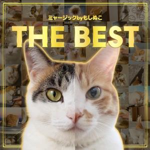 なんでも枕にしちゃうぜ