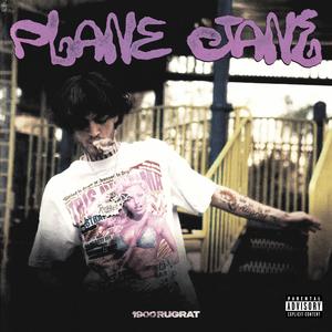 Plane Jane