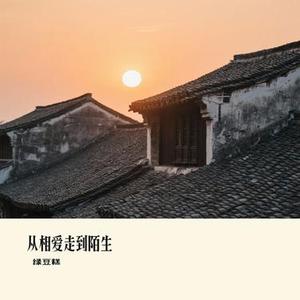 从相爱走到陌生 (Remix)