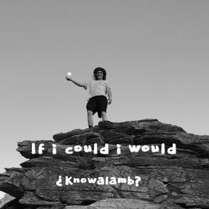 If I Could I Would