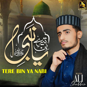 Tere Bin Ya Nabi