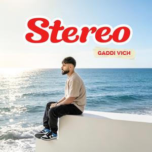 Stereo (Gaddi Vich)