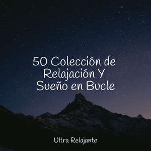Hojas Revoloteando Hacia Abajo