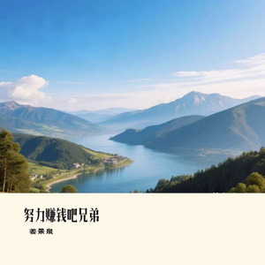 努力赚钱吧兄弟