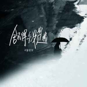 舍不得与没资格 (伴奏)