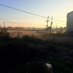 假扁诗气(11).wav