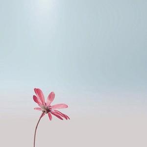 青梅(梅见青梅酒主题曲)_Rister