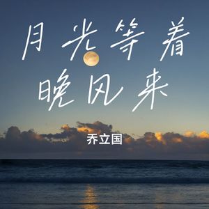 月光等着晚风来