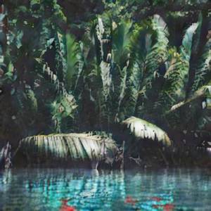 The Tail of the Spidermonkey