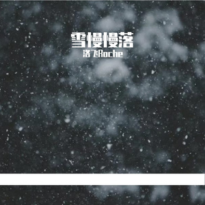 雪慢慢落