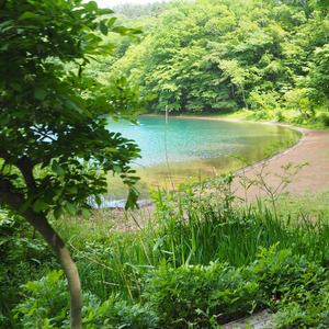 朝は必ずやってくる