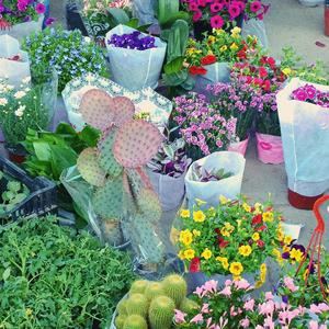 cover 全昭弥what you waiting for