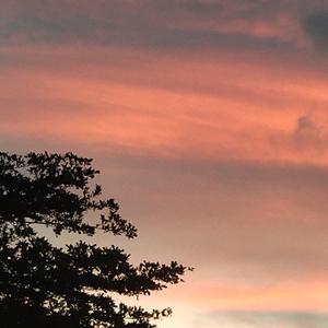 [Free]Tears.。。“……$