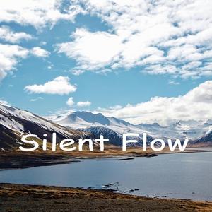 Silent Flow