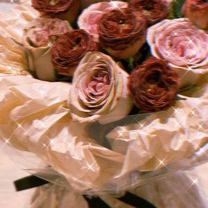 夏夜最后的烟火-绚烂版