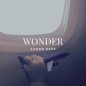 Wonder