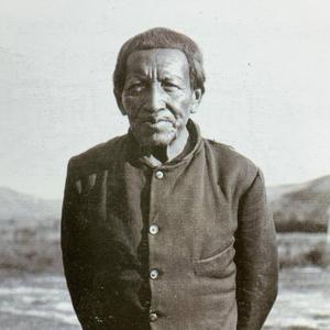 Yango