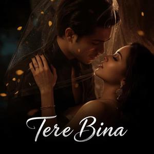Tere Bina