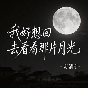 我好想回去看看那片月光