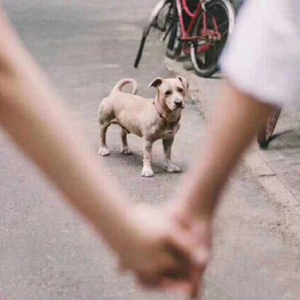 天涯何处觅知音