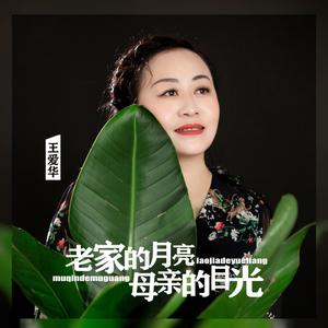 老家的月亮母亲的目光