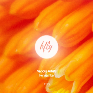 Lunar Dew (Original Mix)