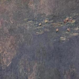 芭比之十二芭蕾舞公主-长笛竖琴版