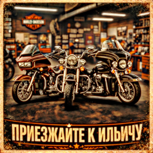 Приезжайте к Ильичу