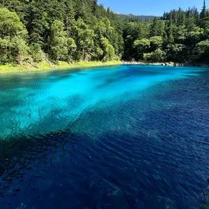 拂袖相伴笑往前