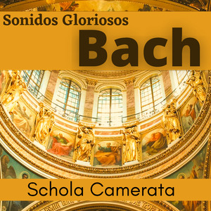 Concierto Branderburgo N° 5 - Allegro 3