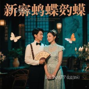 新鸳鸯蝴蝶梦 (R&B版)（Cover 黄安）