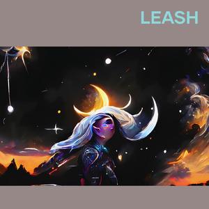 Leash