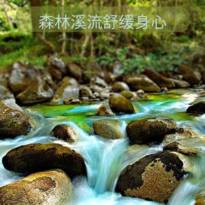 宁静旋律